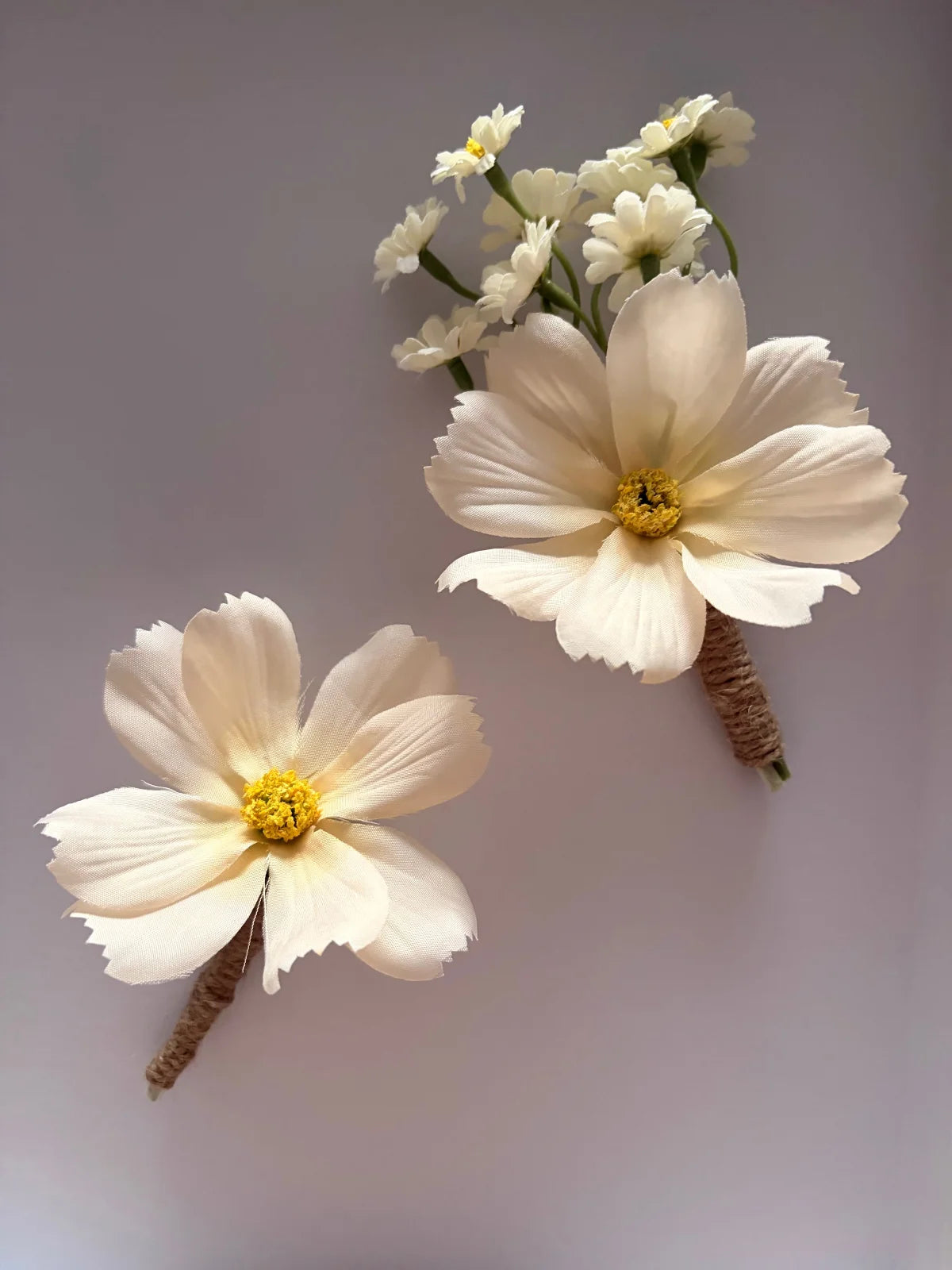 Two light cosmos flowers with yellow centers on a light gray background