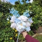 Bouquet of white and blue flowers held in front of a garden with greenery and fruit.