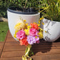 Wedding bouquet of colorful flowers in a white pot on a wooden deck with plants in the background.