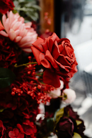 Close-up of red and pink moody flowers, blurred background