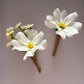 Silk Cosmos Buttonholes / Boutonniere